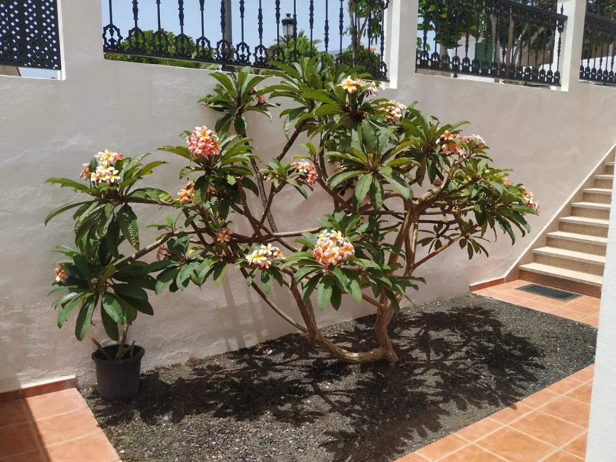 Punta Negra Appartement Puerto de Santiago  0*, Puerto de Santiago (Tenerife) Spanje